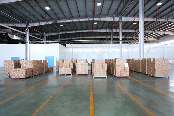Logistics2